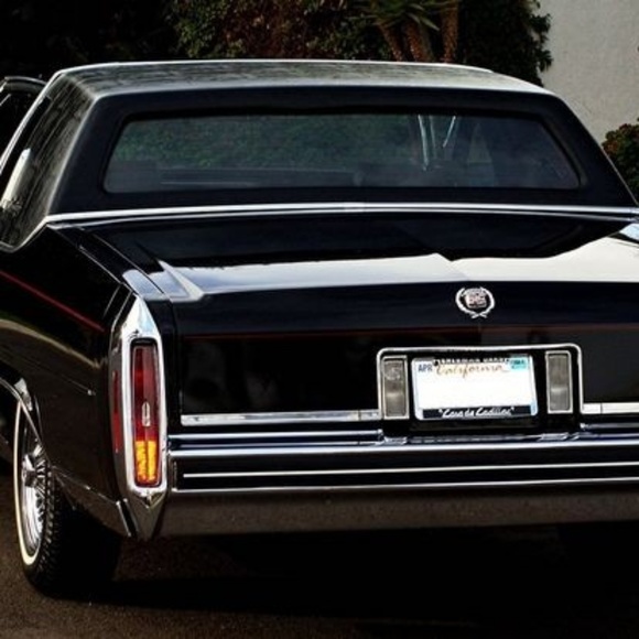 Meet your Posher, Michael - Picture 1 of 1